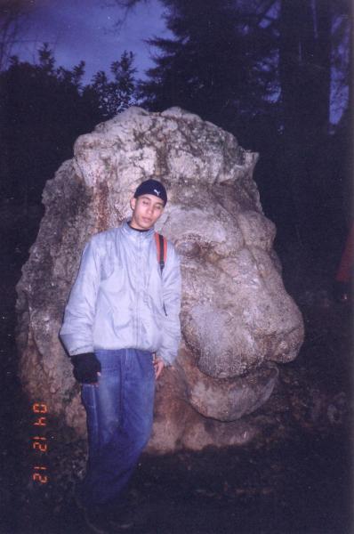 lion de piére